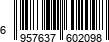 6957637602098