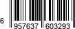 6957637603293