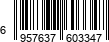 6957637603347