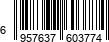 6957637603774